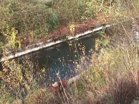 Terrafinanz Impressionen Pasing November 2010