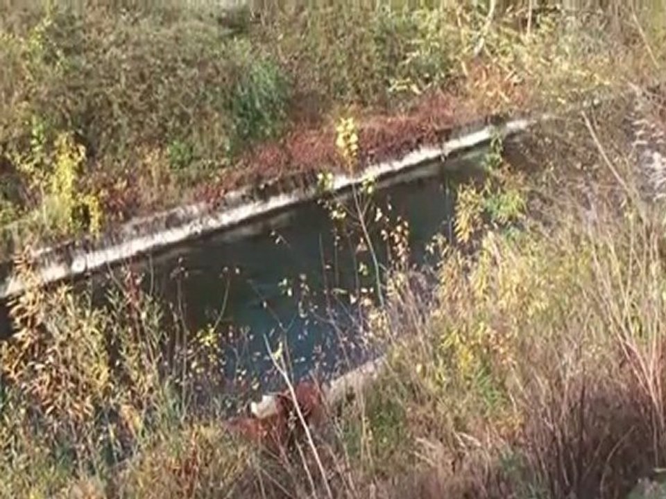 Terrafinanz impressionen pasing november 2010