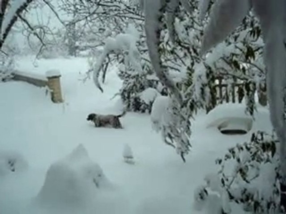 RUBIS SOUS LA NEIGE 01-12-2010