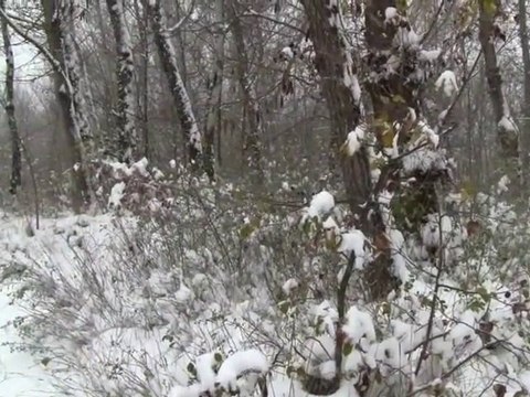 neige a crest decembre 2010