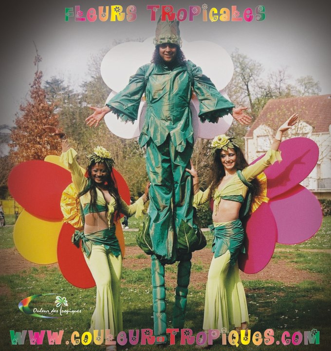 Spectacle des fleurs tropicales  COULEUR DES TROPIQUES