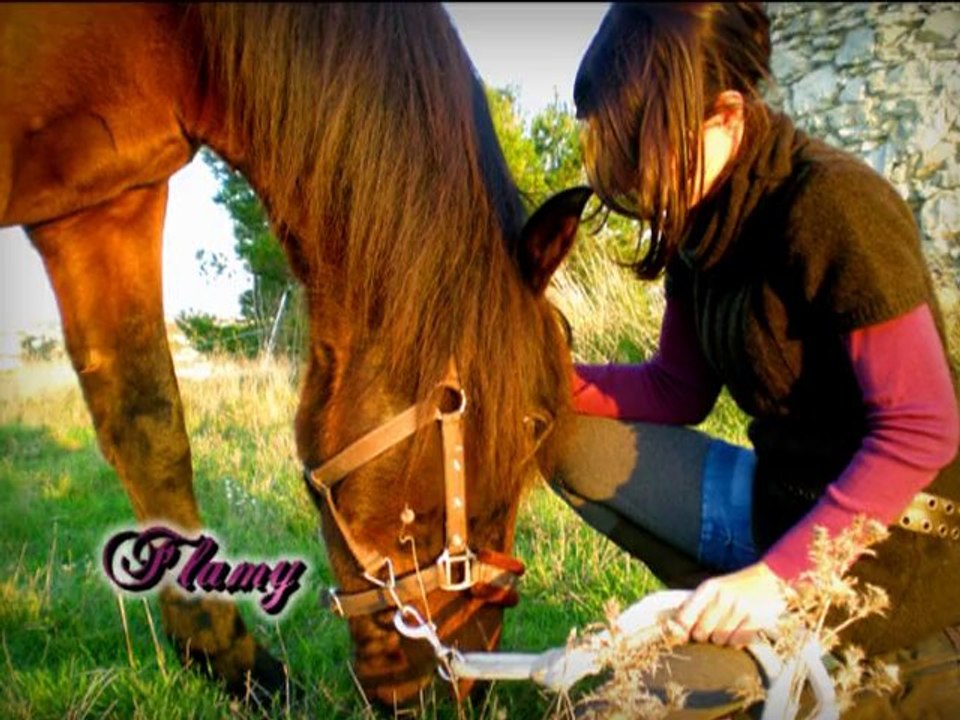 Mes petites boules de poils