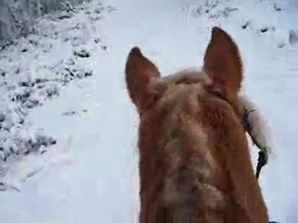neige!