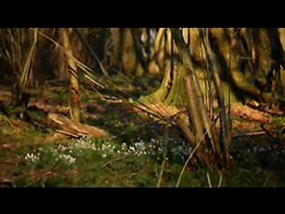 No-Man - Wherever There is Light