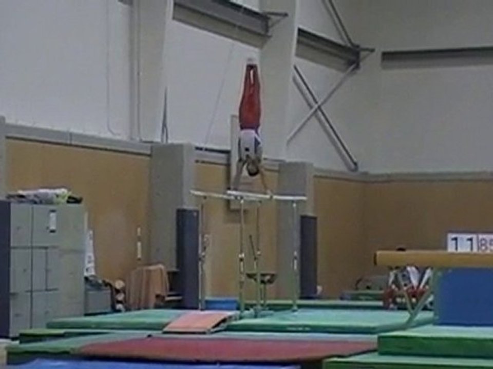 ２０１０霜月杯　中野智　平行棒