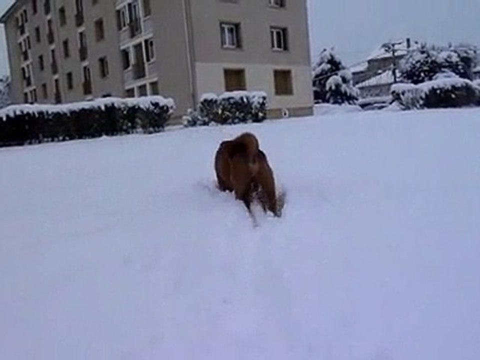 il neiiiiiiiiiiggggggggeeeeeeeeeeeeeee!!