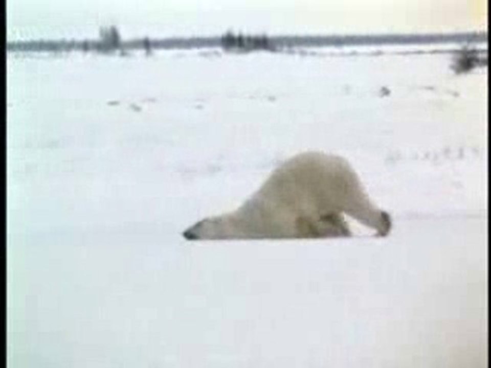 Le lundi au boulot
