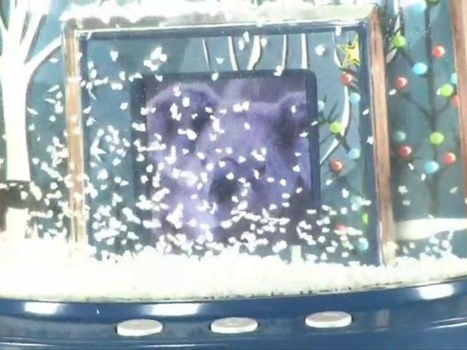 Senario Vu-Me Digital Photo Snow Globe