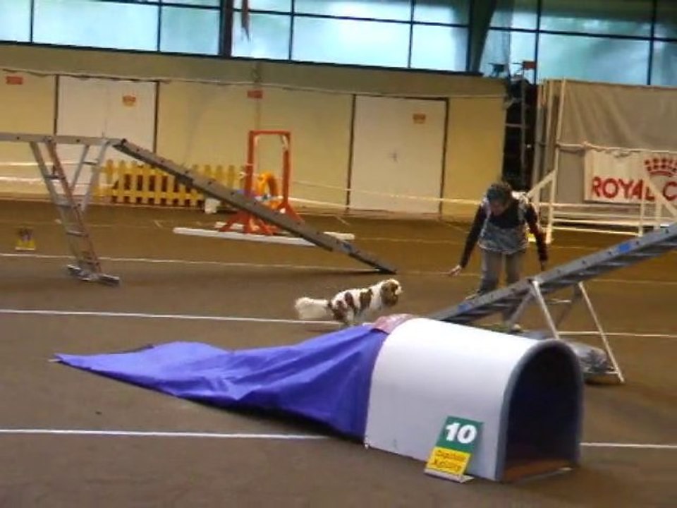 Bullit GPF Lalande 2010