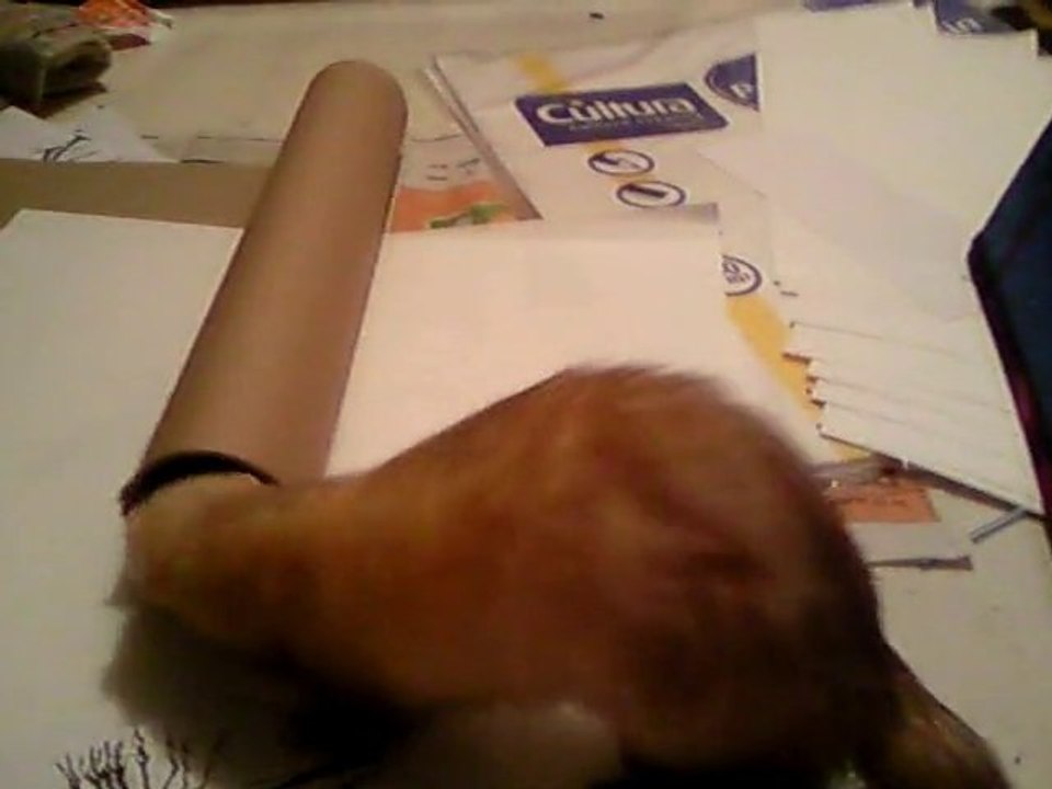 gogole =D