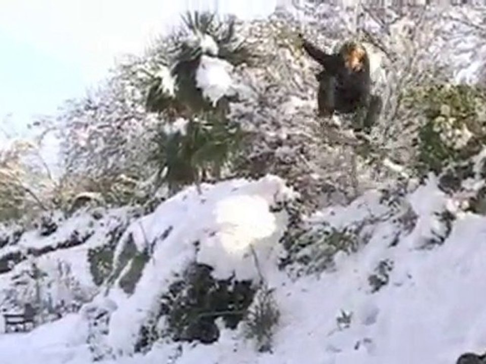 Bloqués par la neige