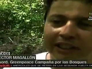 Download Video: Greenpeace promueve uso sustentable de bosques por indígenas