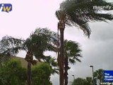 Florida catches a tropical wave - 08/16/2010