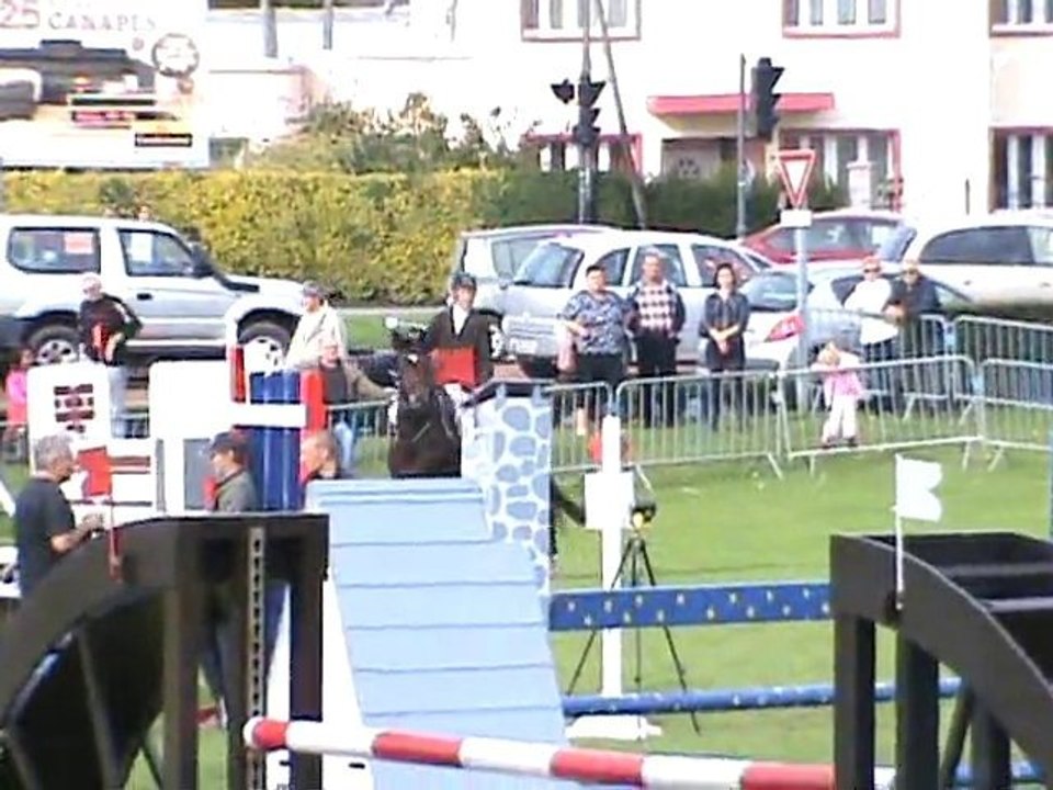 Phénix des Flayelles