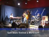Fil de l'Actu - Sam Blues Festival à Méricourt