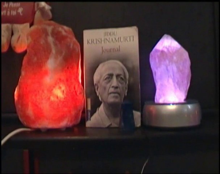 partie du journal de krishnamurtie 2