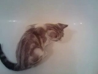 Norman dans la baignoire !