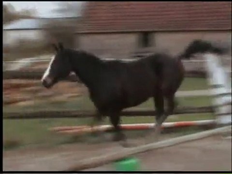 Umeha saut en liberté nov 2010