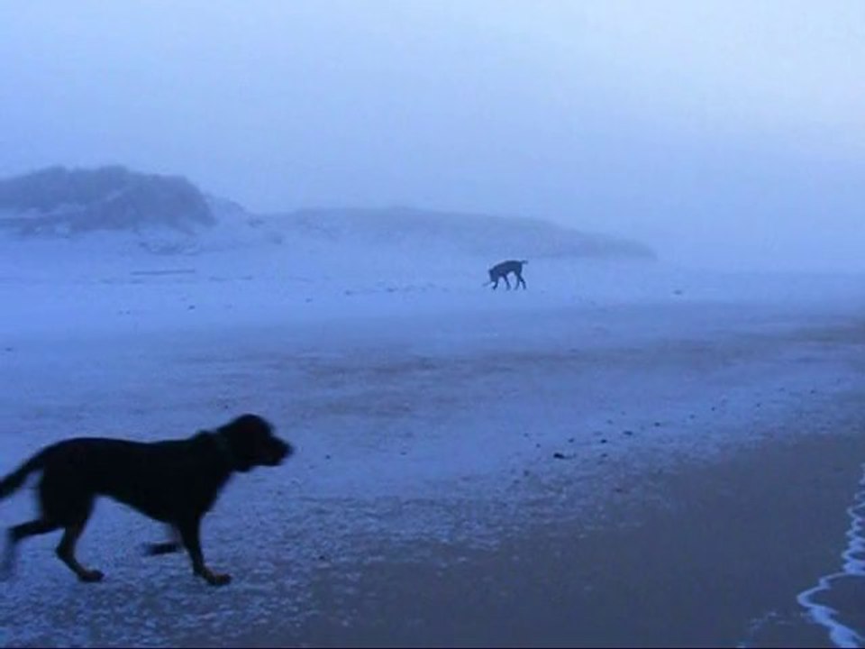 ballade sous la neige le 02 12 2010