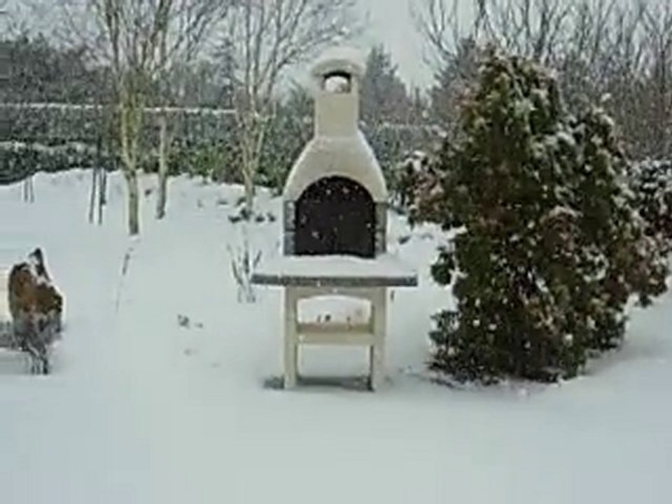 2 decembre 2010