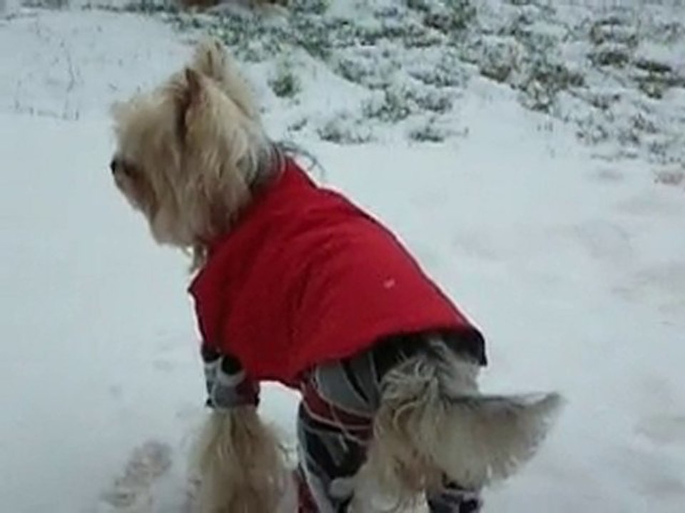 La neige est là !