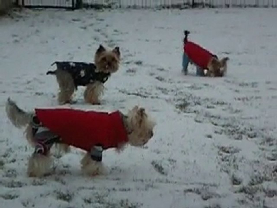 A la neige
