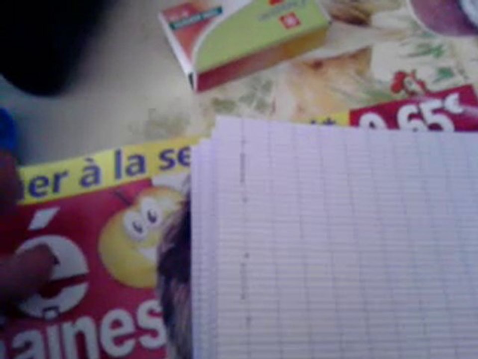 Tutoriel : Fabriquer un carnet de santé pour votre animal