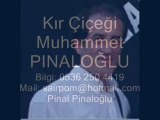 Kır Çiçeği Muhammet Pınaloğlu