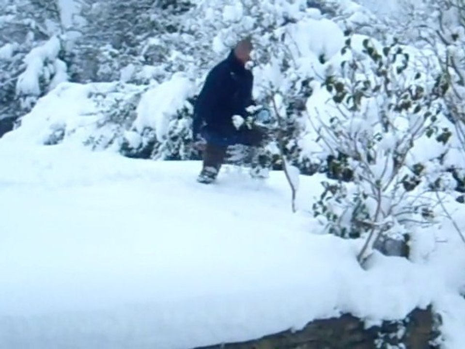 neige