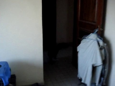 Déménagement de Hann vers BIMA