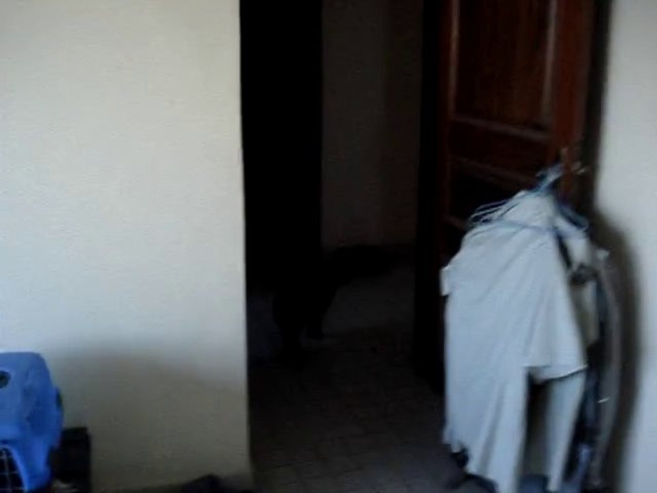 Déménagement de Hann vers BIMA