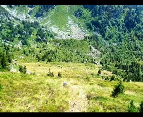 les  4 étangs de madides 2e partie