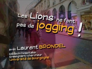 Les lions ne font pas de jogging !