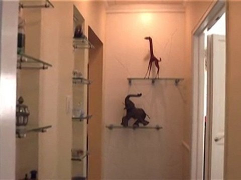 Elemental Design Residential Remodeling Project