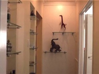 Elemental Design Residential Remodeling Project