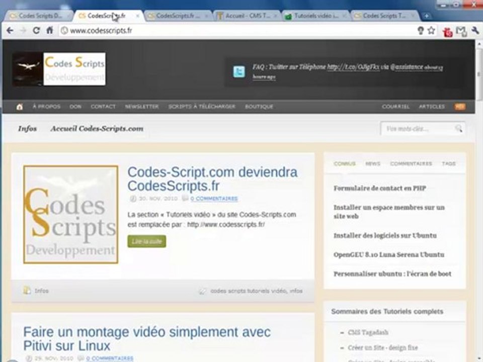 Codes-Scripts.com migre vers CodesScripts.fr