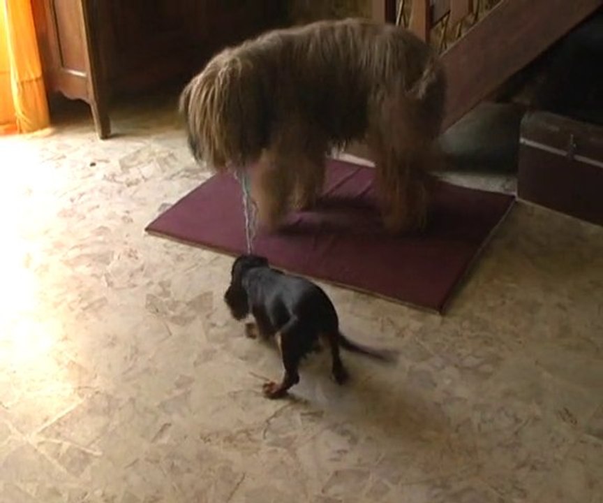 Flamme et Apsara jouent à la ficelle