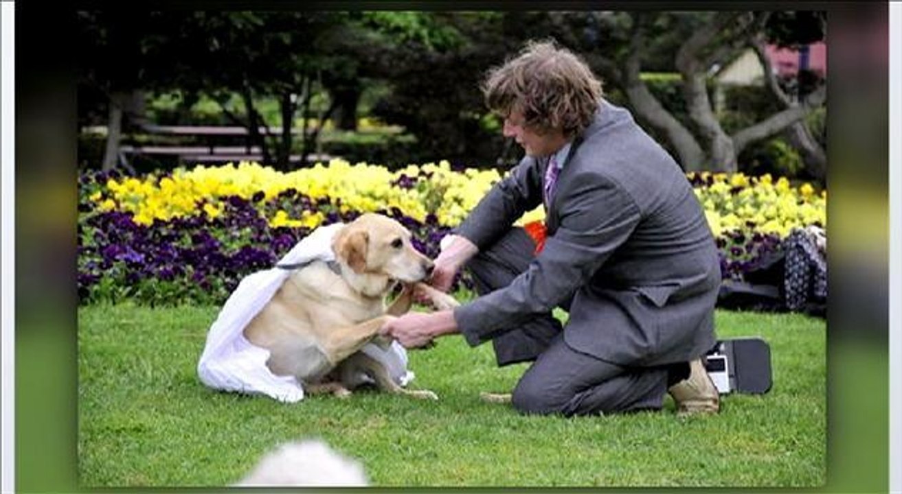 Il se marie... avec son chien !