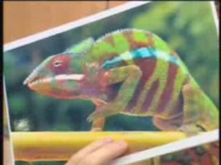 Celal hoca eğitimde - ders 18