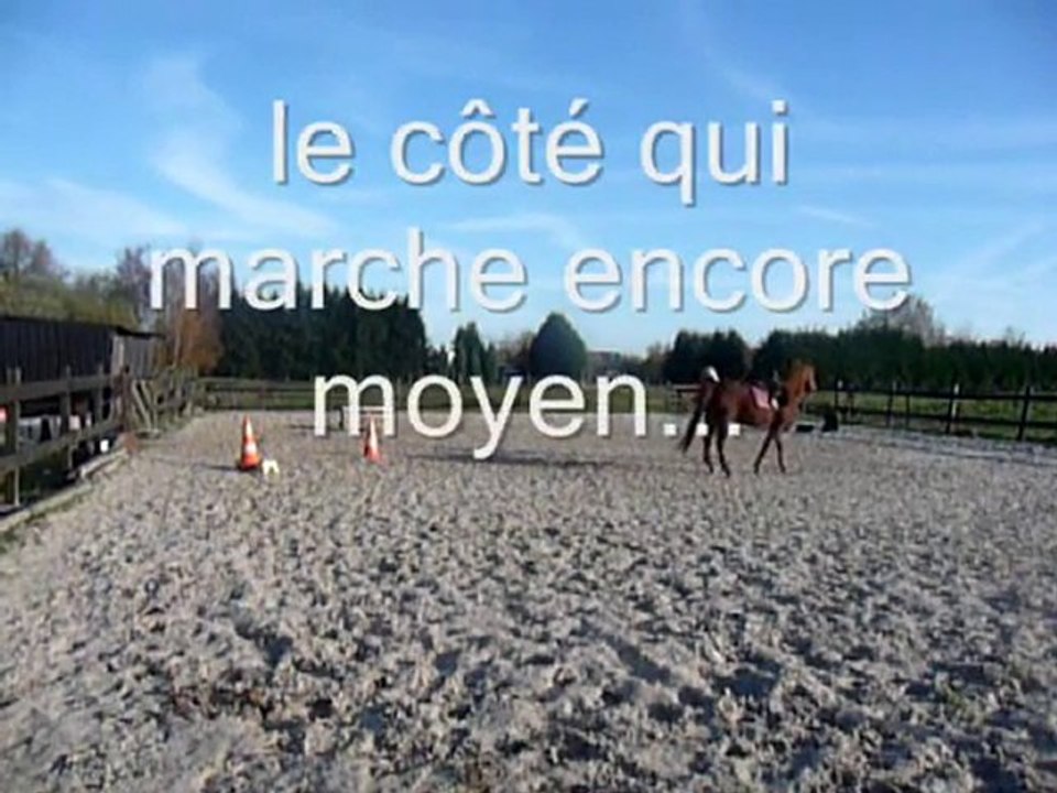 20 novembre - On Line