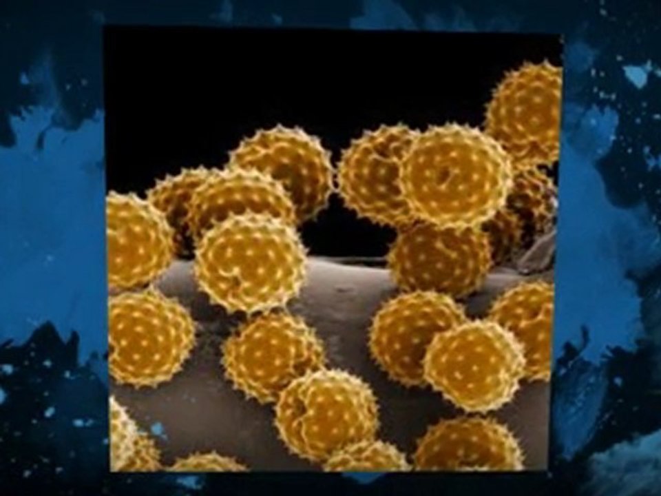 Get Quick Relief from Eczema Rashes by Using Natural Eczema