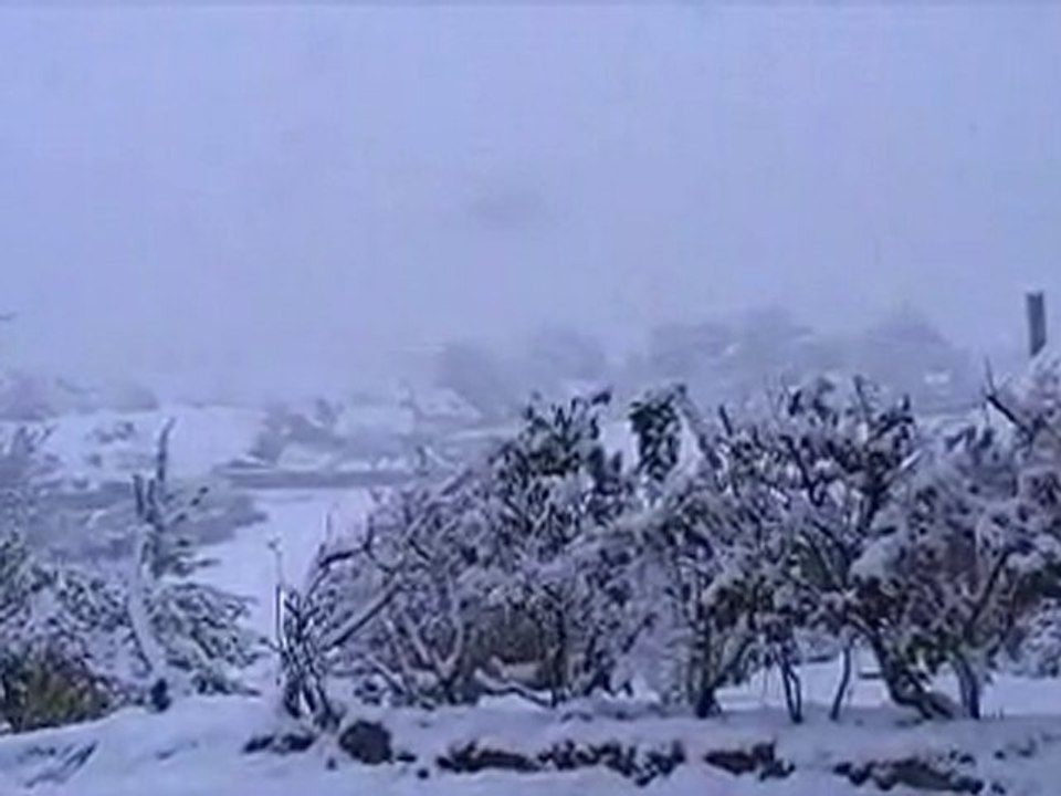 décembre 1, 2010 il neige de + en+