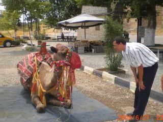KAZA TERKETMEK NE KADAR KOLAY