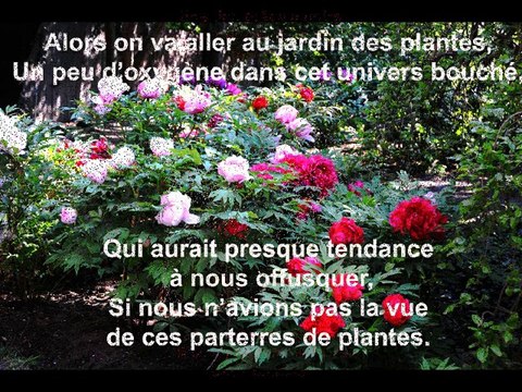 PARIS ©POEMES THOMAS ANDRE ©PHOTOS MARTINE ANCIAUX©