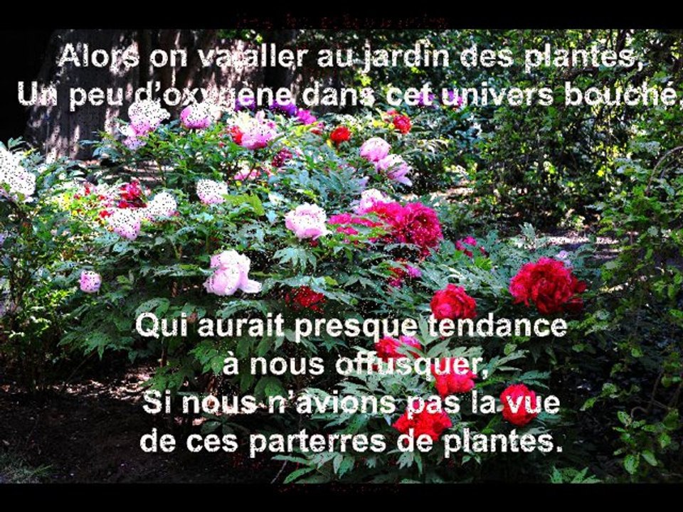 PARIS ©POEMES THOMAS ANDRE ©PHOTOS MARTINE ANCIAUX©