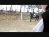 Galop 6 CSO