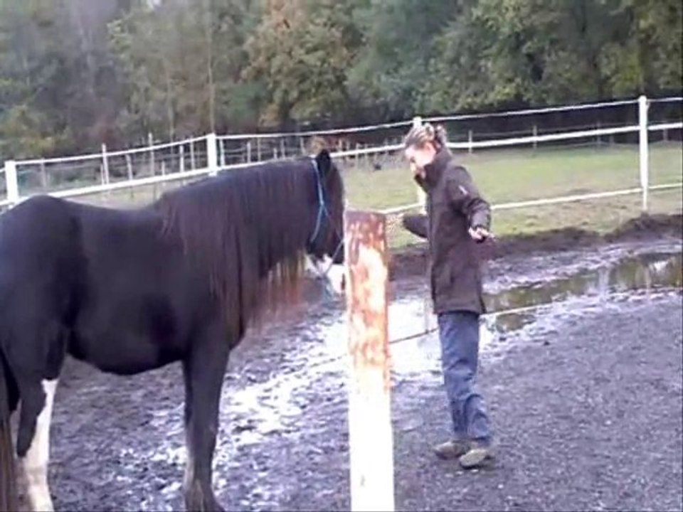 RDL novembre 2010