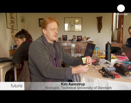 Etiquetando anguilas