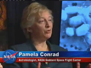 Neue Bakterien erzeugen DNA mit Arsen