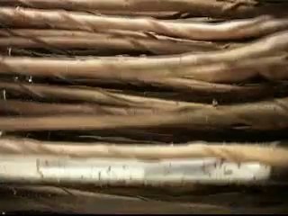 Deoditoo Le Jus de Pommes